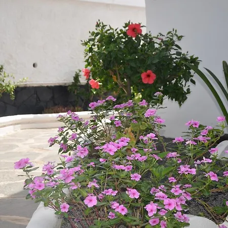 Alsol Orquideas Appartamento Playa del Inglés