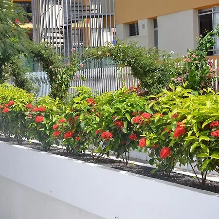 Appartamento Alsol Orquideas *